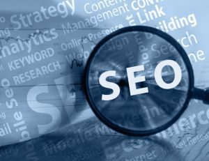 Expert Website SEO in Collingwood