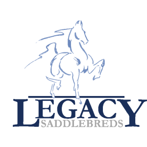 Legacy Saddlebreds LLC